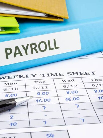Payroll Automation Services to streamline business, dashboard screenshot