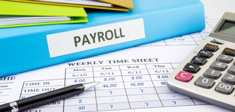 Payroll Automation Services to streamline business, dashboard screenshot