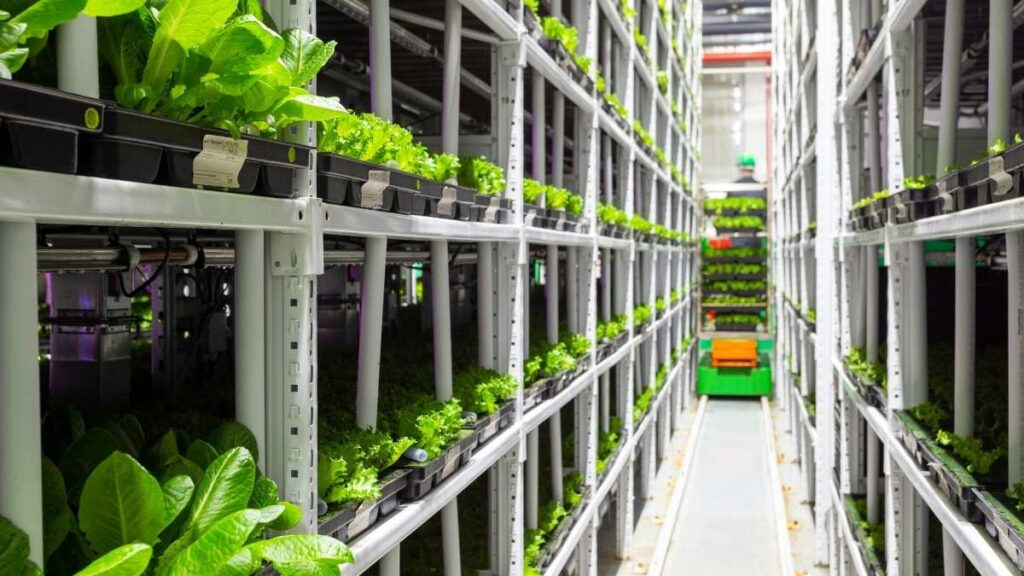 Supply Chain Optimization through advanced inventory management and controlled agricultural production systems